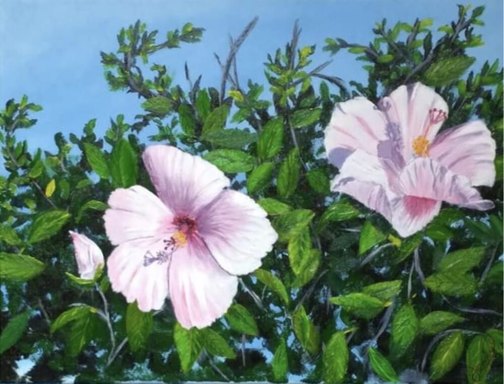 Rose of Sharon (Print)